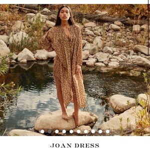 Doen Joan Dress (never worn new without tags), size: XS color: Golden Mesa Flor